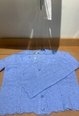 Autumn Cashmere Sequin VNeck Cardi
