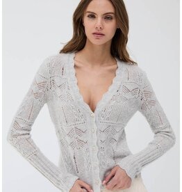 Autumn Cashmere Sequin VNeck Cardi