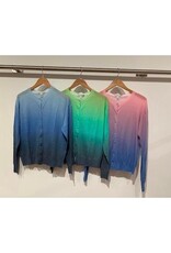 Autumn Cashmere Ombre Print Cardigan