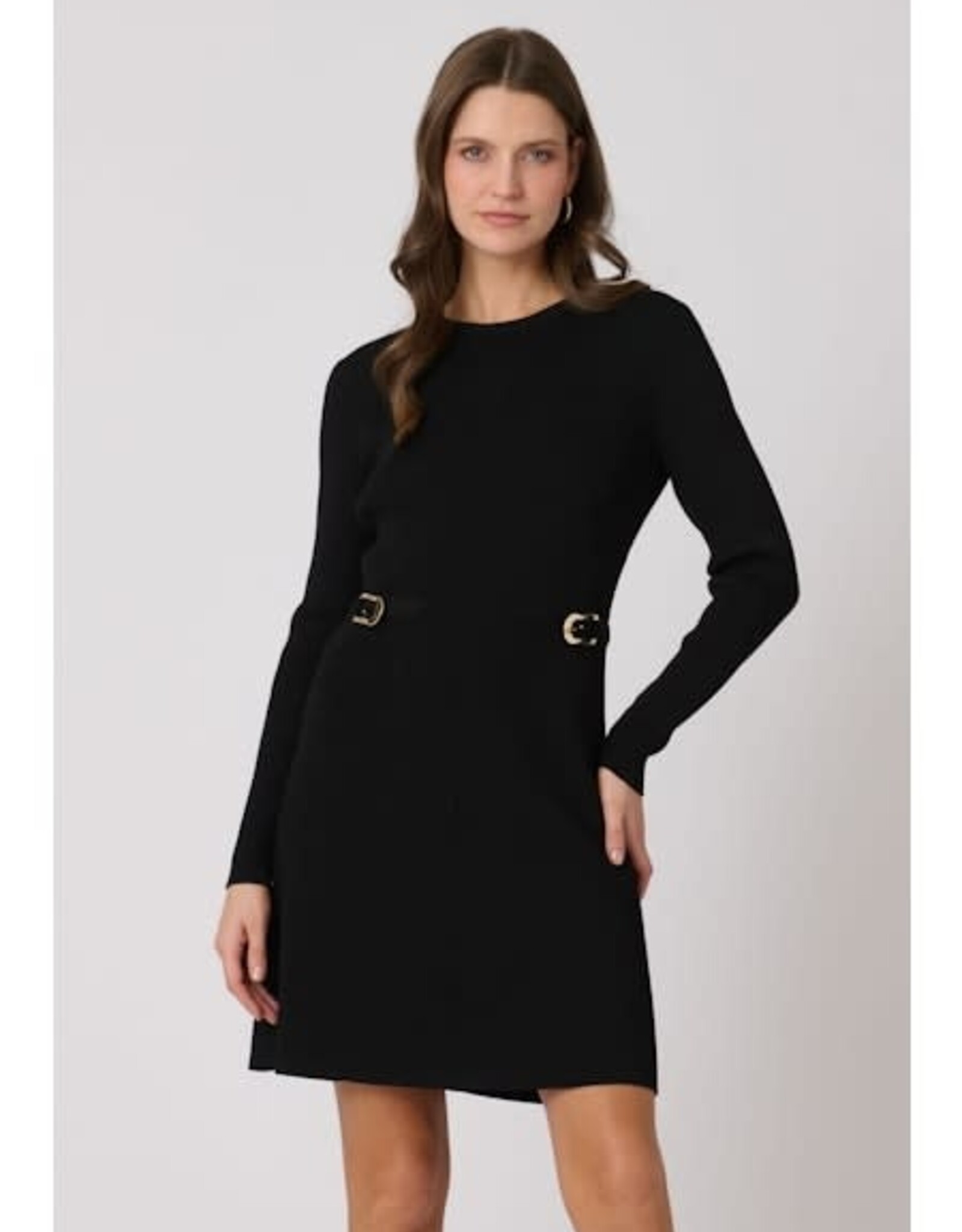 Shoshanna Janice Dress