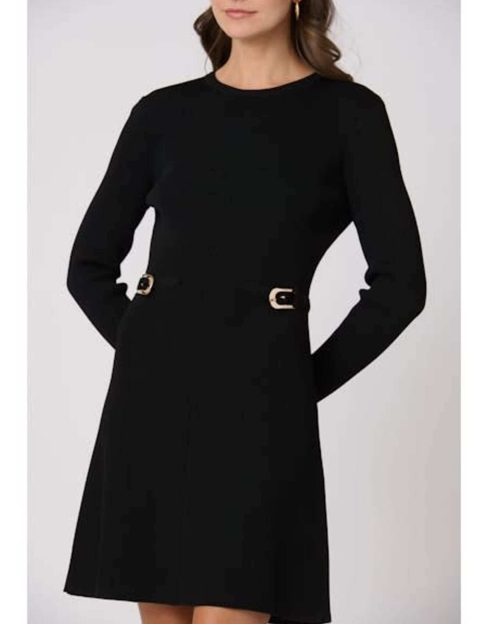 Shoshanna Janice Dress