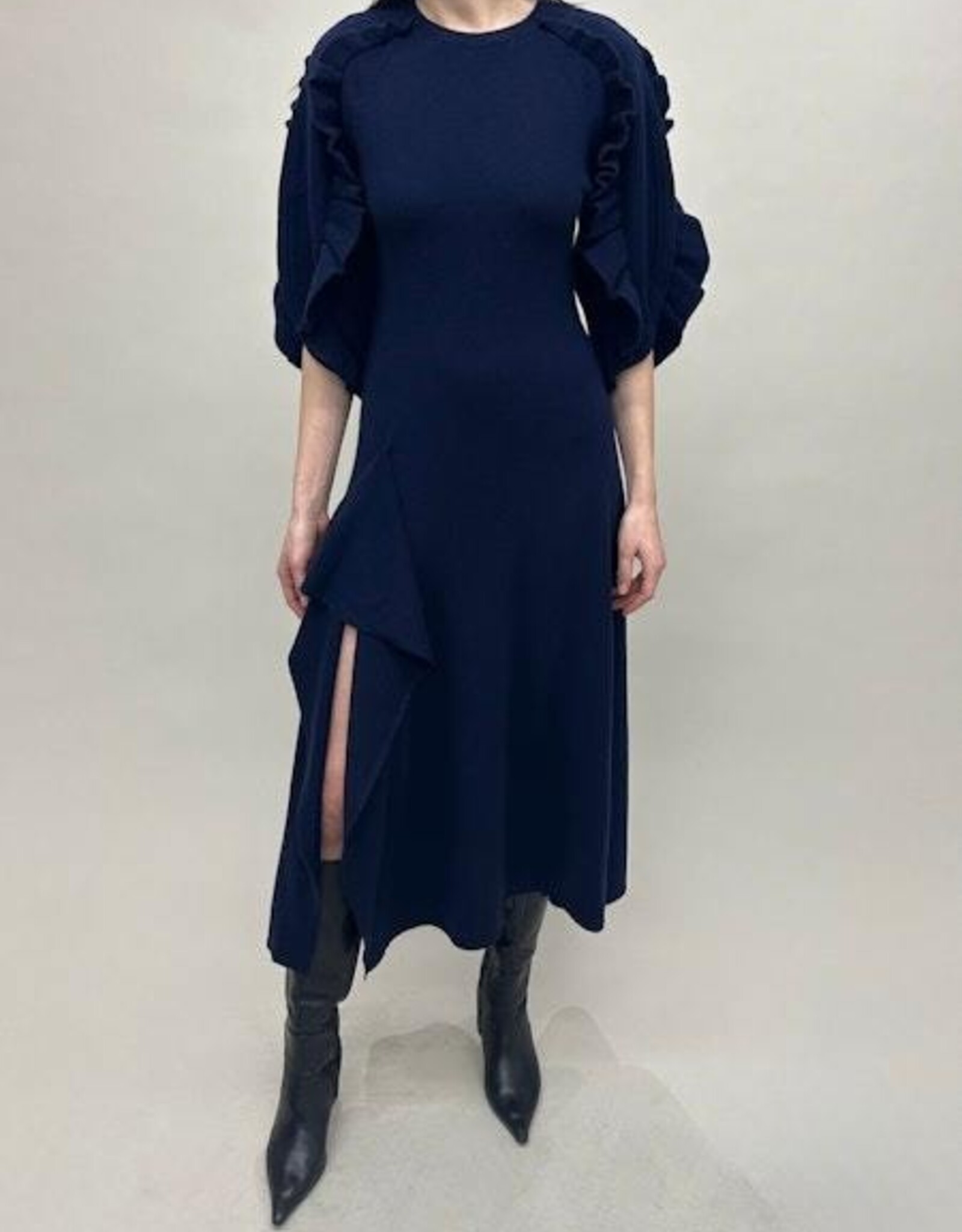 REBECCA TAYLOR Kaia Dress