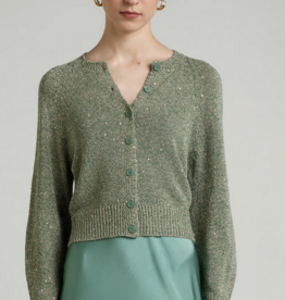 Sparkle Sage Cardigan