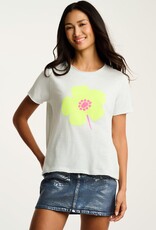 Lisa Todd Posy Posse