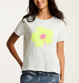 Lisa Todd Posy Posse