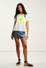 Lisa Todd Posy Posse