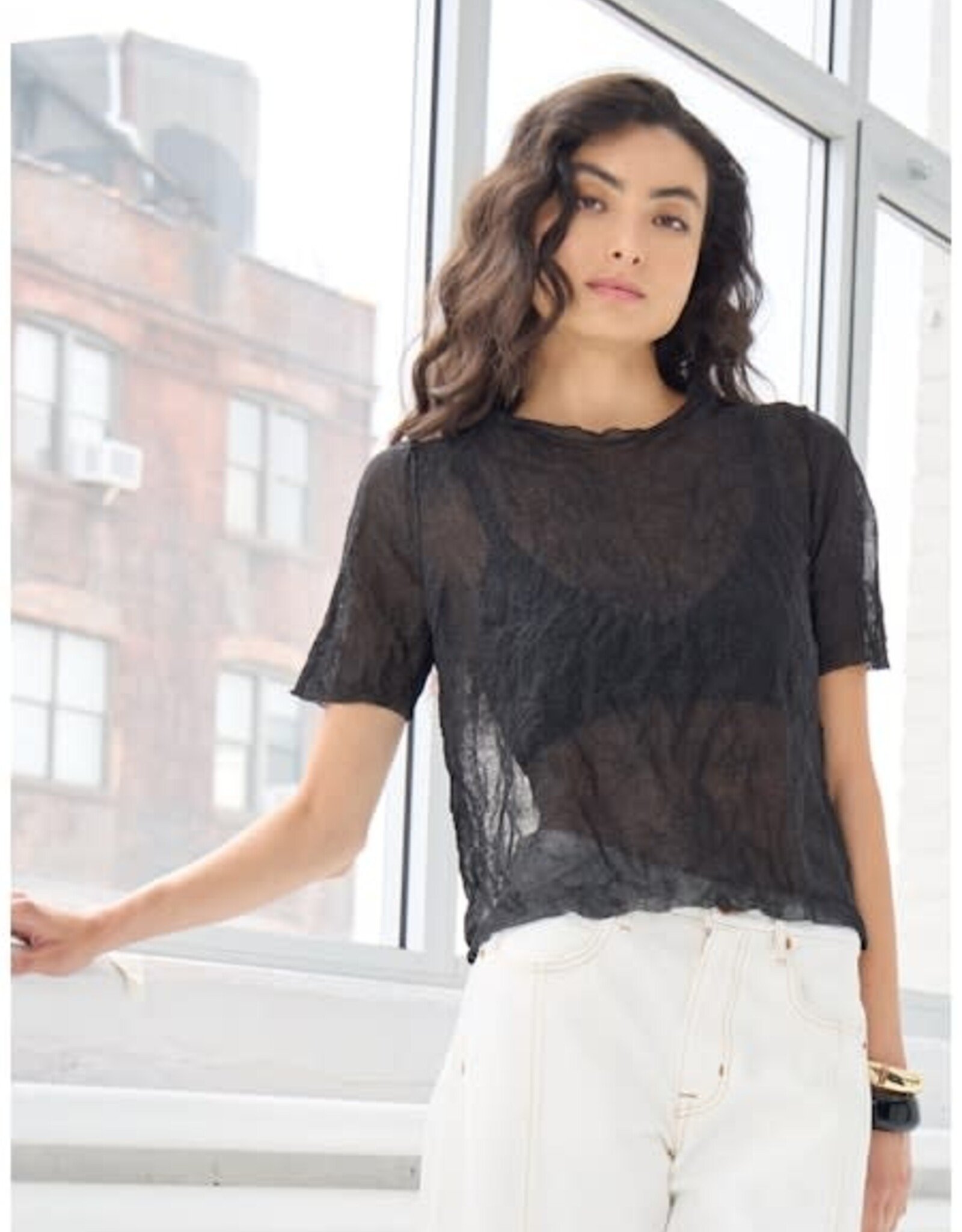 Autumn Cashmere Crushed Silk Crew