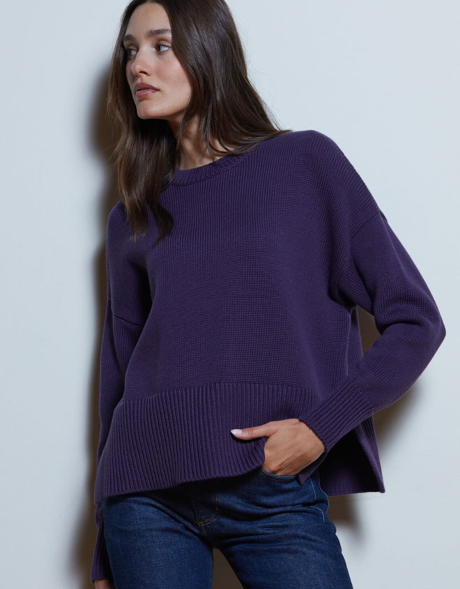 Autumn Cashmere Easy Fit Solid Crew