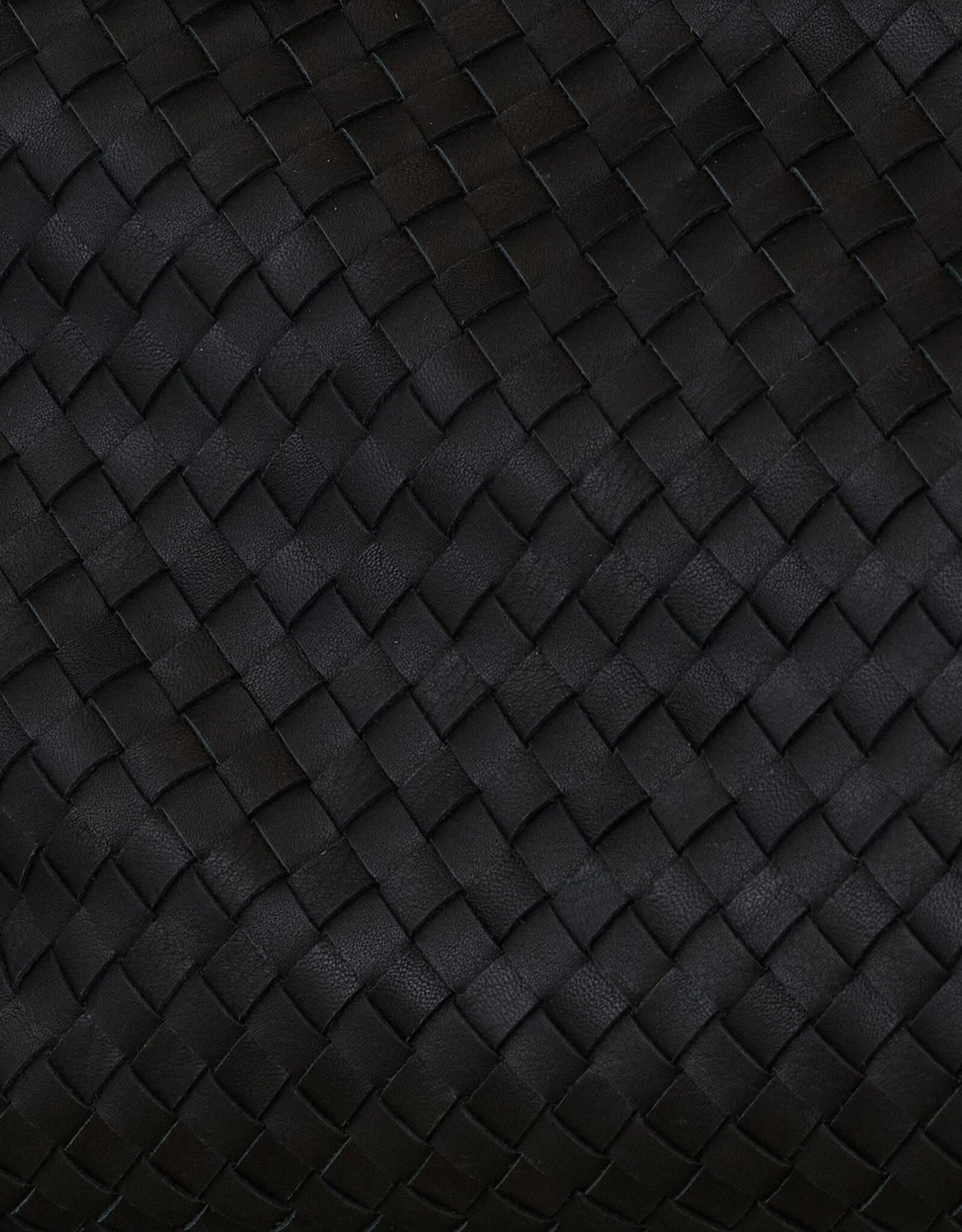 Daniella Lehavi Billie Woven Leather Bag
