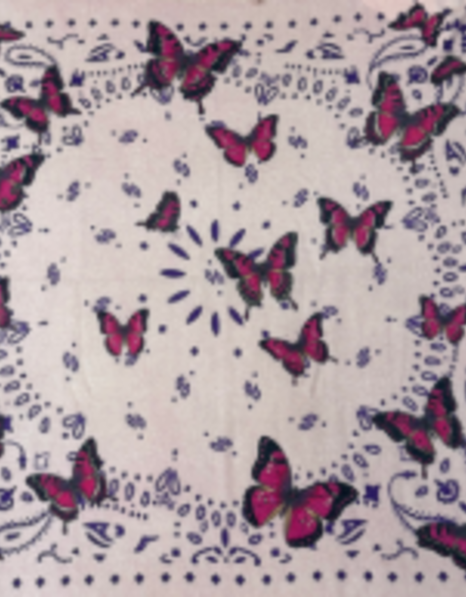 KUJTEN Hachiko Butterfly Scarf
