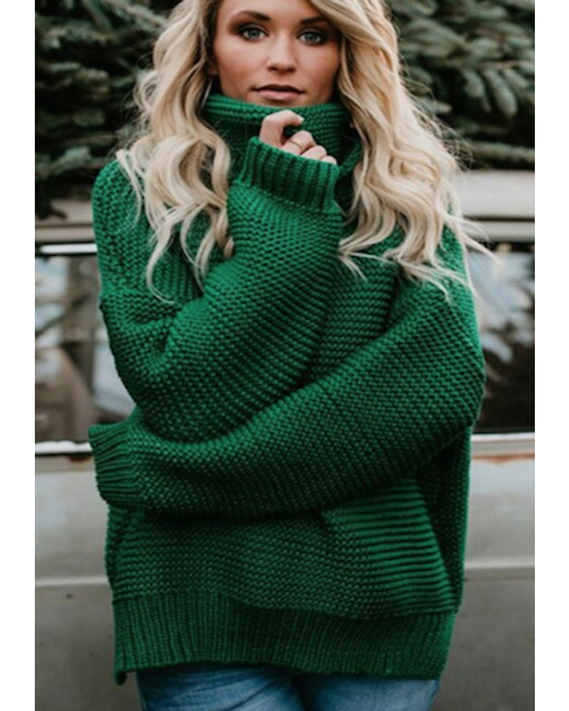 turtle sweater