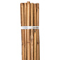 Growers Edge Grower's Edge Natural Bamboo 4 ft Bulk (100/Pack)