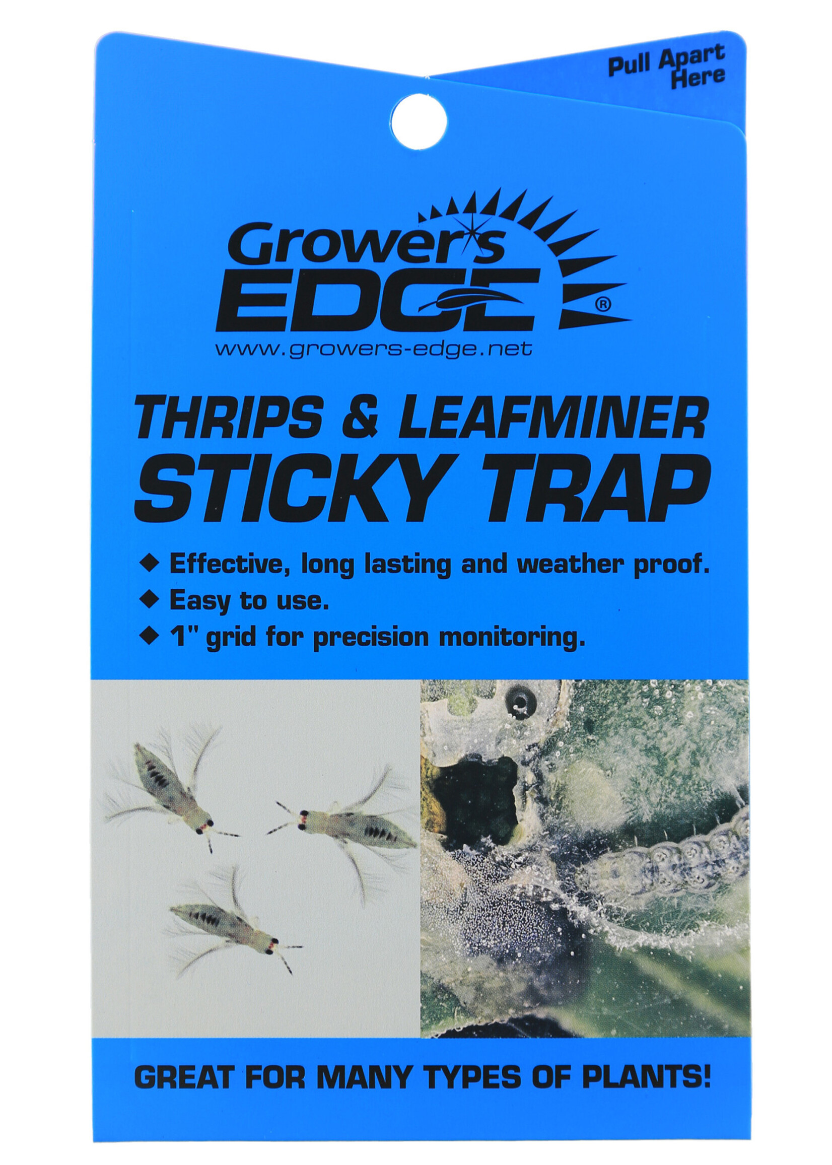 Growers Edge Grower's Edge Thrips & Leafminer Sticky Trap 5/Pack (80/Cs)