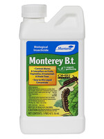 Monterey Monterey B.t. Pint (12/Cs)