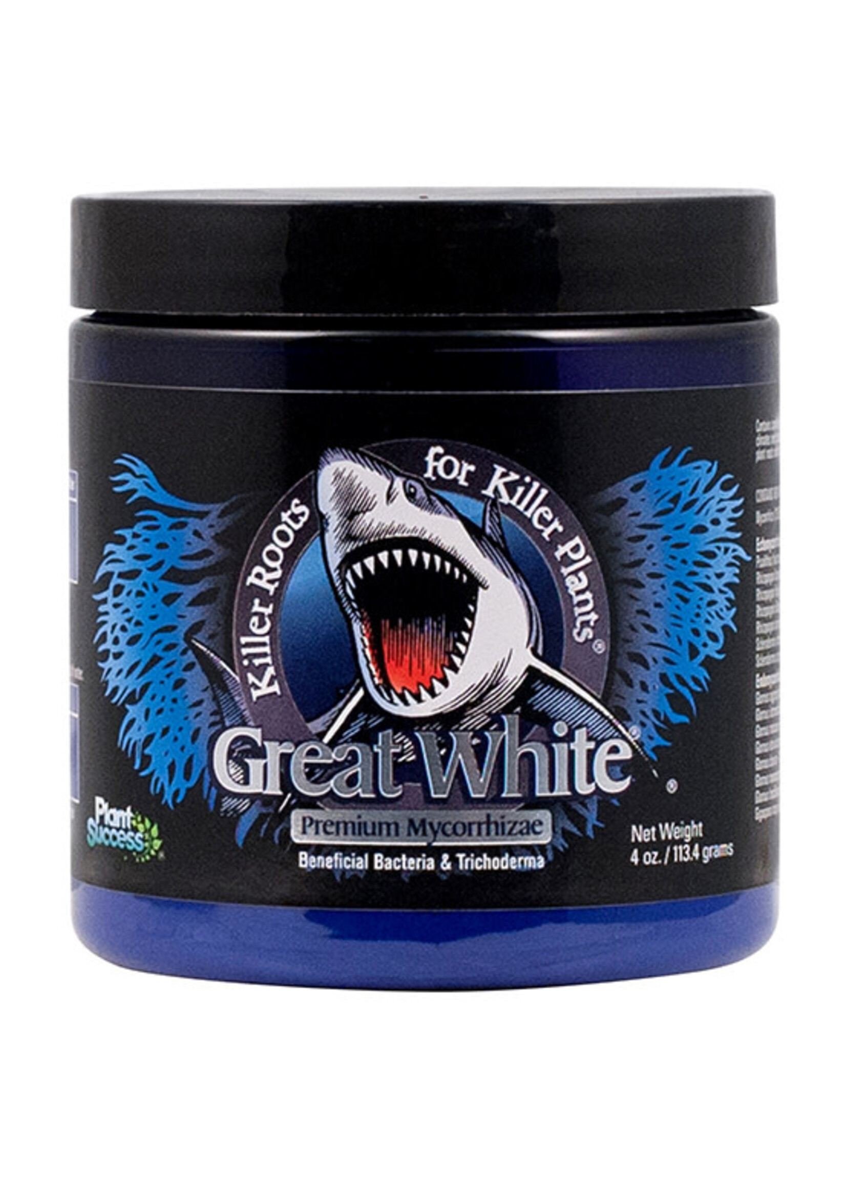 Plant Success / Great White Finished Great White