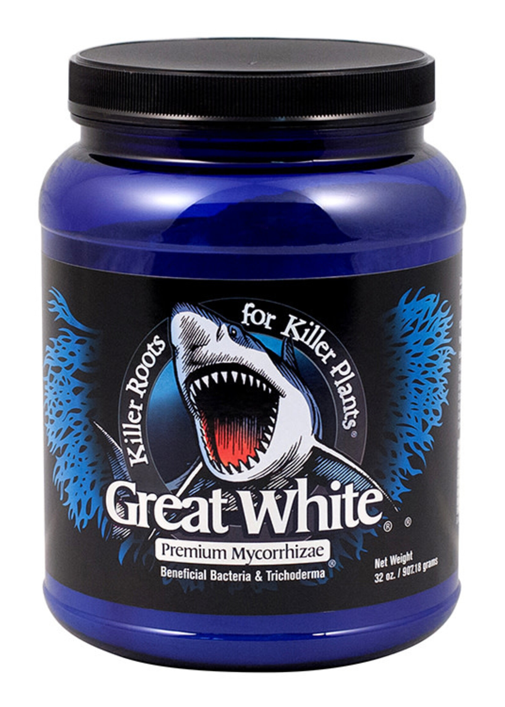 Plant Success / Great White Finished Great White