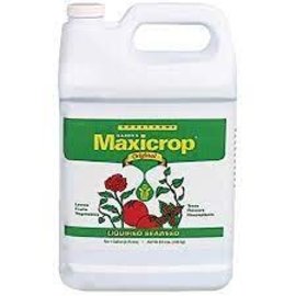 Arbico Organics Maxicrop Liquid Seaweed - 1 Gallon