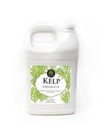 Age Old Age Old Kelp, 1 gal