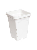 None Square White Pot Case