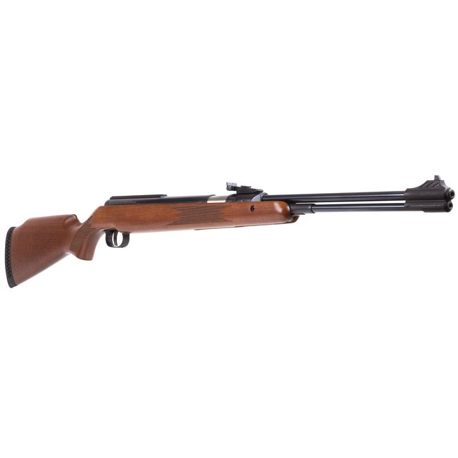 Diana Diana 460 Magnum .22 Cal