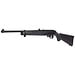 Ruger 10/22 .177 Cal CO2 Air Rifle - 450 FPS