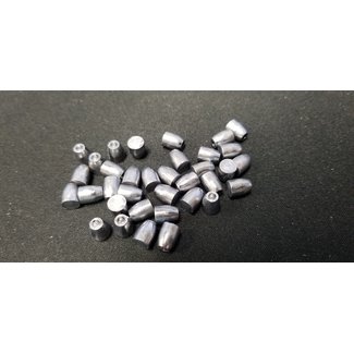 Nielsen Specialty Ammo NSA .22 Cal HP Slug - 23.0gr - 250ct