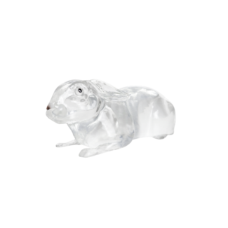 Clear Ballistics 10% Gelatin Rabbit