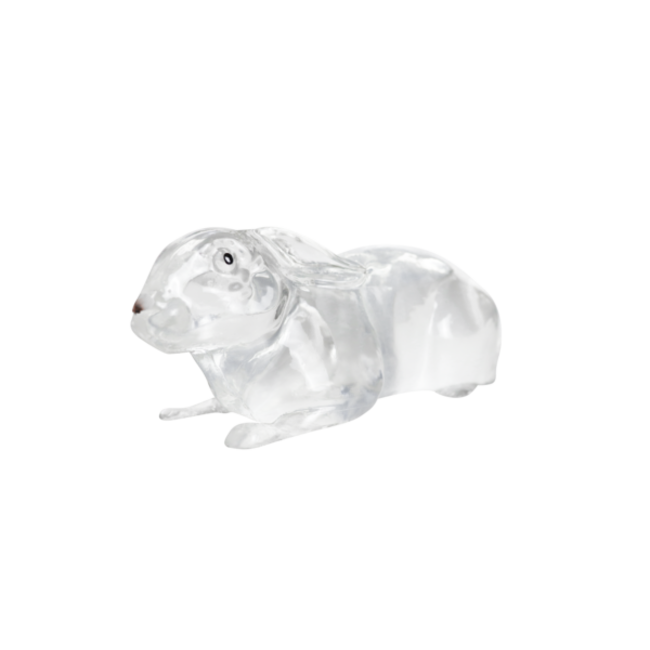 Clear Ballistics 10% Gelatin Rabbit