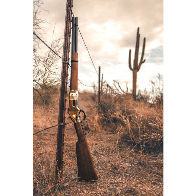 Barra Gold 1866 .22 Cal CO2 Pellet Rifle