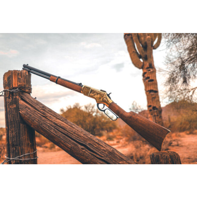 Barra Gold 1866 .22 Cal CO2 Pellet Rifle