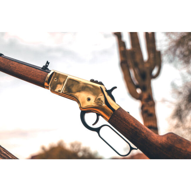 Barra Gold 1866 .22 Cal CO2 Pellet Rifle