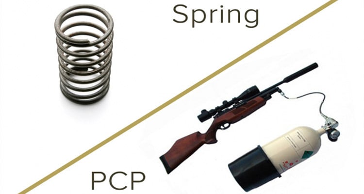 Choosing the Right Spring-Action Air Rifle: A Buyer's Guide