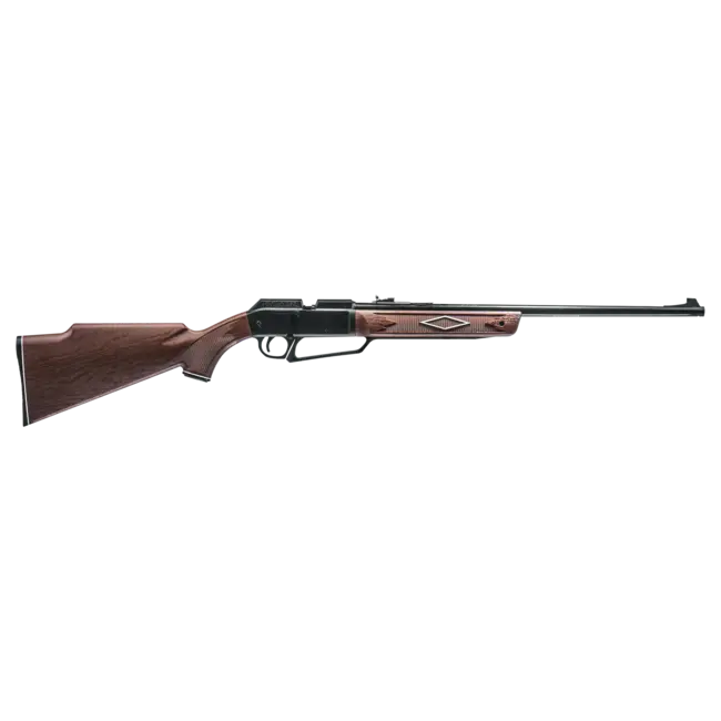 Daisy Daisy 880 - Brown Stock