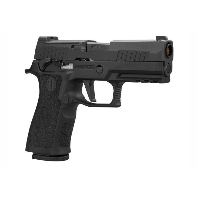 Sig Sauer New P320 X-Carry Blowback