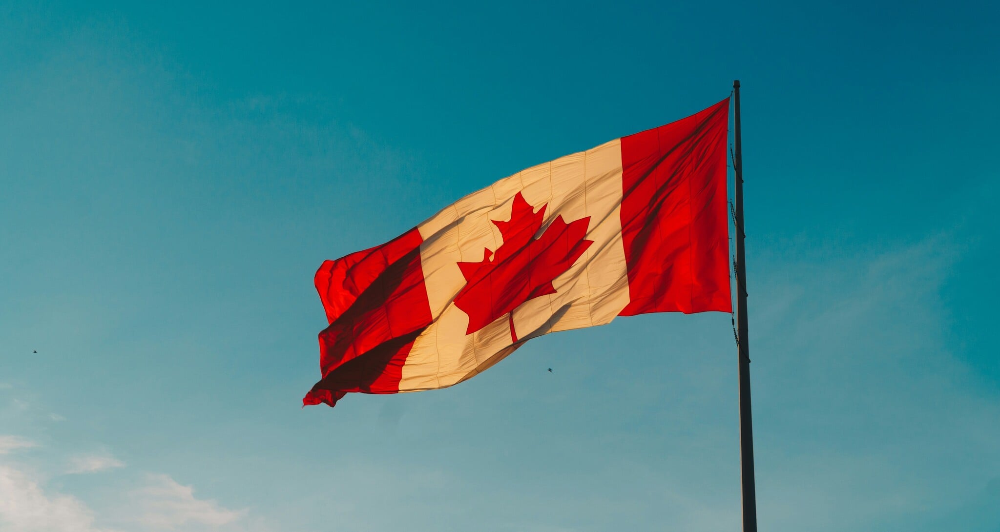 T4E vs Byrna vs P2P: Which Less-Lethal Launcher is Right for Canadians?