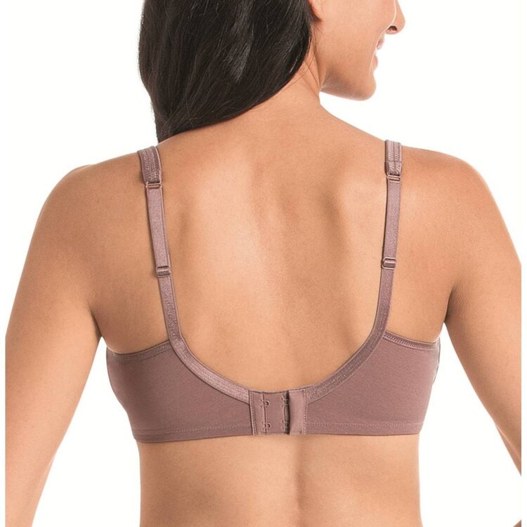 Rosa Faia Fleur Soft