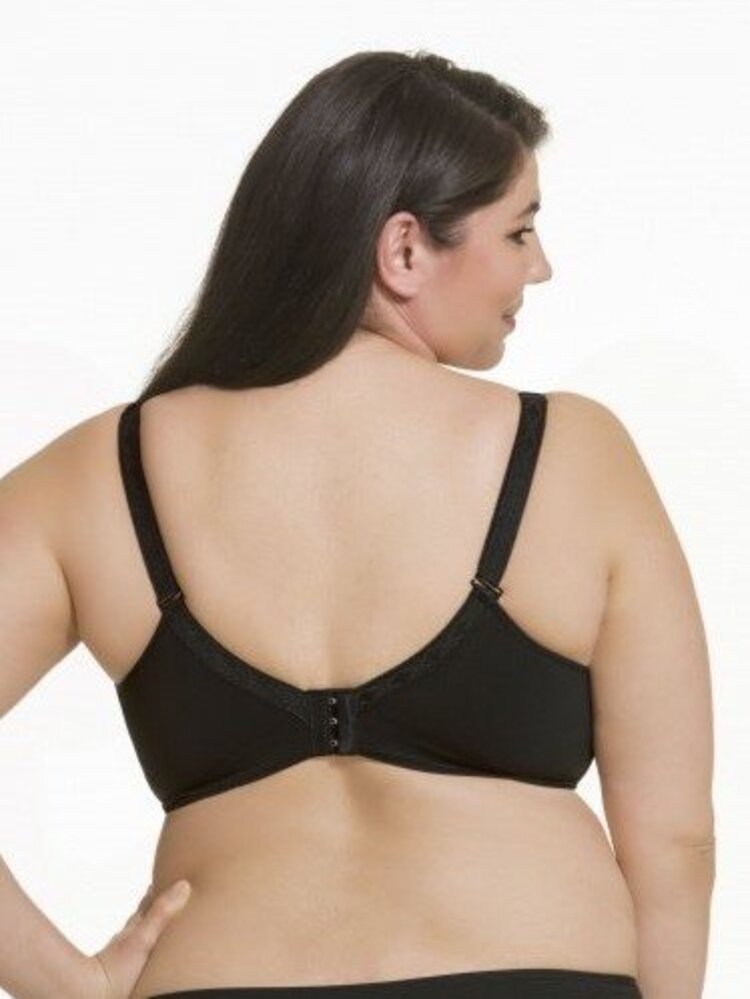 Cake Sugar Candy Nursing