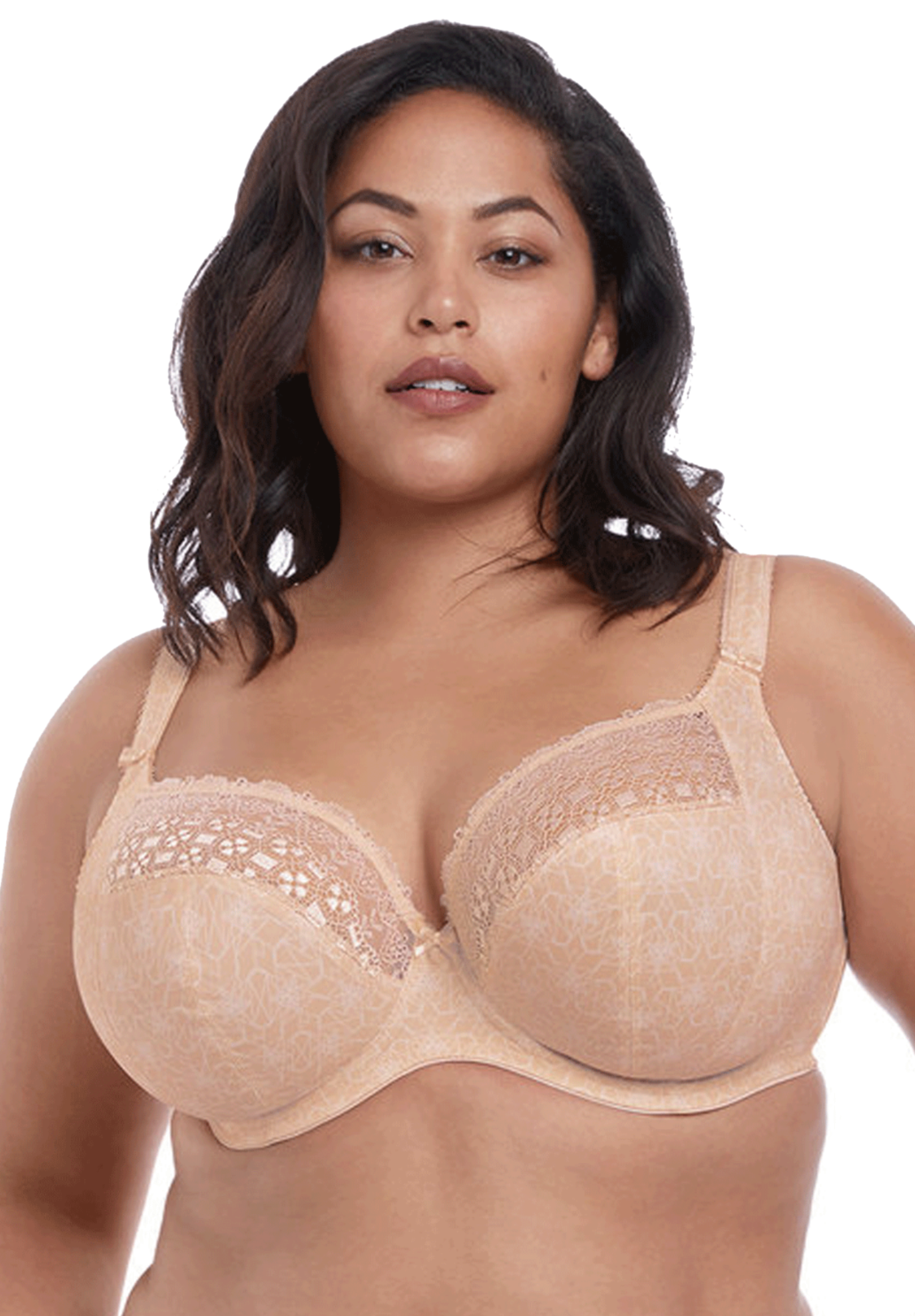 Elomi  Elomi Bras, Lingerie & Swimwear Up to a K Cup