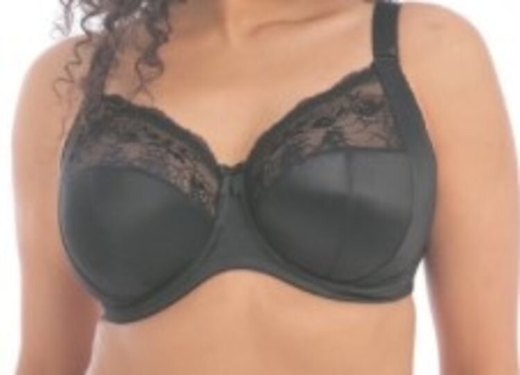 Elomi Elomi - Morgan (solid) EL4111 - Basic