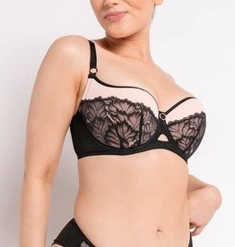 Curvy Kate Curvy Kate - Emboost Padded Balcony CK0351066