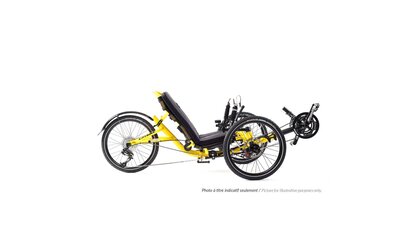 Trail 2027 - recumbent bike