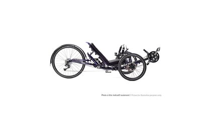 Dumont 2026 - recumbent bike