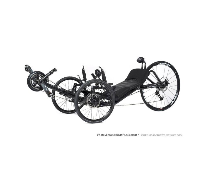 700 2027 - recumbent trike
