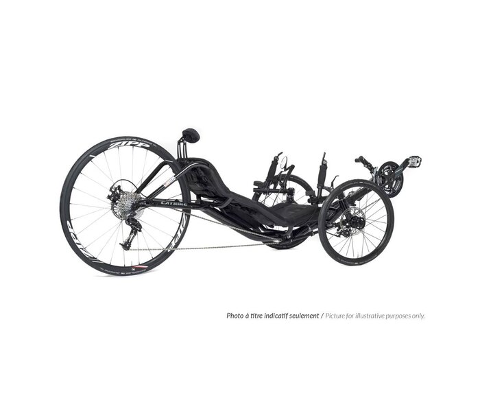 700 2027 - recumbent trike