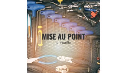 Mise au Point Annuelle incluant Nettoyage (145)
