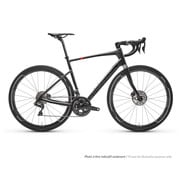 argon 18 xenon 24