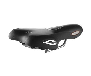 Selle royal lookin Moderate Lady - Selles - Accessoires - Lausanne et Riviera. Votre