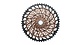 XG-1299 XX1 Eagle - Cassette de vélo montagne 12 vitesses