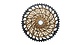 XG-1299 XX1 Eagle - Cassette de vélo montagne 12 vitesses