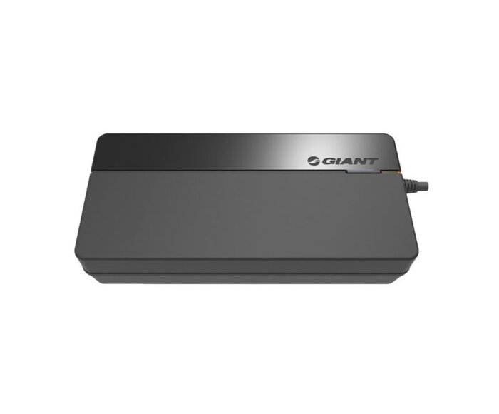 Chargeur EnergyPak pour vélo électrique (E-bike)